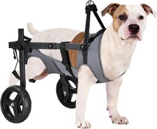 Size L - Dog Wheelchair for Back Legs, Adjustable  (Large) Open Box - New picture