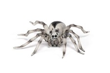 Papo Tarantula - Hand Painted Figurine - Heirloom Quality Collectible (50190) picture