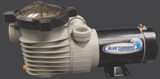 Blue Torrent Hurricane 1.5HP Single Speed Above Ground Pool Pump 110V picture