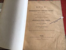 1867 Austrian Frigate Novara World Cruise Zoological Report Part II Coleoptera picture