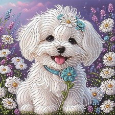 White Curly Hair Puppy Diamond Art Kit 12 x 12 Inch picture