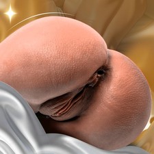 Pocket Sex  ASs Doll Male Masturbator Anal Vagina Sex toy Realistic Pussy 5.5lbs picture