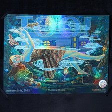Tool — Blonde Redhead — Tacoma — 2022  — #408/780 — Lori Nelson Art picture