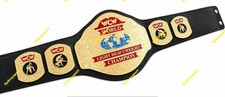World Light  Heavyweight wrestling CHAMPIONSHIP BELT ADULT SIZE 2mm BRASS picture
