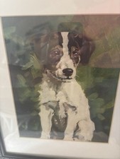 1930’s Antique J Nicholson Print Fox Terrier Matted And Framed picture