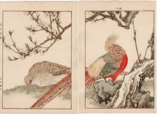 Japanese Antique Original Woodcut Print, 1892, Imao Keinen, 