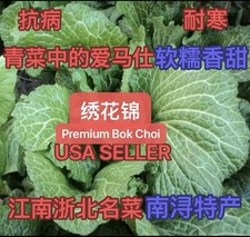 300+Premium Bok Choi Embroidered Brocade Choi Seeds. 300多粒2025年产绣花锦香金菜青菜种子. picture