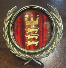 1972 Ford Gran Torino Sport Front Grille Emblem Badge  Nameplate D2OB-8216-CA picture