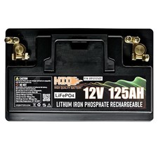 12V 125Ah  LiFePO4 Battery With 100A BMS  Lithium Battery For RV,  Solar. picture