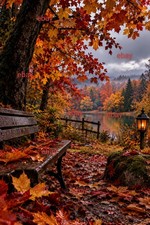 Autumn Nature~ Digital Image Ready To Print or Wallpaper  picture