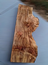 XL Wicked CURLY Birdseye MAPLE  burlwood Slab EPOXY/STABILIZING Wood Curly Maple picture