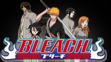 Bleach Complete Series Anime DVD English Movies picture