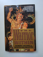 The Warrior Within: Accessing the Knight in the Male Psyche picture