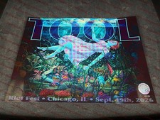 Tool Poster 9/19 2026 Riot Fest Chicago Illinois Douglass Park #490 Lori Nelson picture