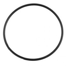 Poolrite Enduro O ring Tank Lid - Pool Spa Cartridge Filter Gasket picture