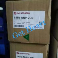 NEW NORGREN L68M-NNP-QUN  FedEx or DHL or UPS picture