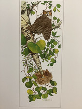 Bev Doolittle  WHOO  