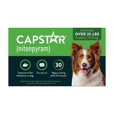 CAPSTAR (Nitenpyram) Fast-Acting Oral Flea Treatment for Large Dogs (over|73727 picture