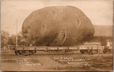 North Branch Minnesota Exaggerated Potato Northern Pacific Postcard Real Photo picture