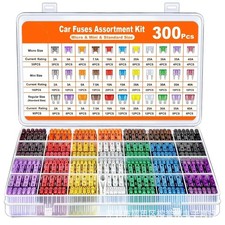 300Pc Blade Fuse Assortment Auto Car Truck Motorcycle Fuses Kit 2-40A 11mm&19mm picture