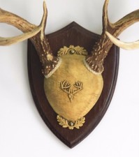 Dark Oak Ultimate Antler Mounting Kit for Deer - The Taxidermists' Woodshop picture