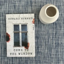 Come to the Window a Novel by Howard Norman (2024, Hardcover) picture