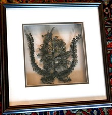 1865 VICTORIAN HAIR LYRE ~ ANTIQUE FOLK ART ~ XL SHADOW BOX FRAME w PROVENANCE picture