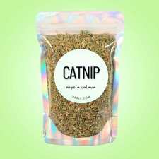 Catnip picture