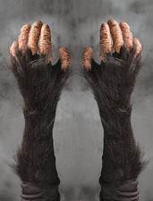 Chimpanzee Chimp Great Ape Monkey Hands Adult Halloween Costume Gloves picture