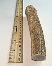 (1) LARGE Grade A Premium Organic Whole Elk Antler Dog Chew Treat Craft picture