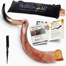 HalleluYAH Original Kosher Fully-Polished Kudu Shofar From Israel picture
