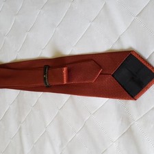 Ermenegildo Zegna picture