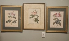 Vintage Pierre-Joseph Redoute Botanical Prints – Rosa Bifera Officinalis 