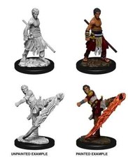 Male Half Elf Monk 2 pk Nolzur's D&D miniature Dungeons Dragons unpainted W10 picture