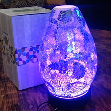 Scentsy Oil diffuser picture