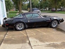 1979 Pontiac Trans Am  picture