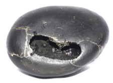 Rare Pundarikaksha Shaligram - Gandaki River Nepal picture