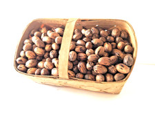 7 Lb. SC Pecans in Shell ORGANIC no pesticides 2025 Hand Picked picture