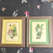 Pair of Vintage 1960's Sara Singh Signed Botanical Fairy Prints picture