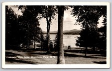 Mountain View Lake Mountain View New York Real Photo RPPC picture