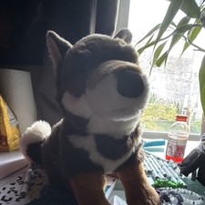 Haku the Shikoku Ken Dog Plush by Prime Shiba. HTF NWOT Batch 008 Small Batch picture