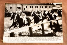 1947 Preakness Faultless Wins at Pimlico Horse Racing 8¾x6⅛ AP Wire Photo V37 picture