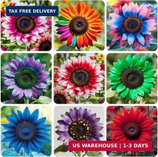 100+ Exotic Sunflower Seeds for Planting Rare Bright Sunflowers Non-GMO Heirloom picture