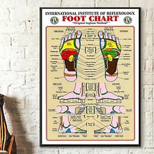 Foot Reflexology Chart by Institute of Reflexology, Gift Poster, Home Living Dec picture