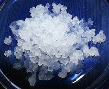 Live Water Kefir Grains growing in Evian water Ready to use picture