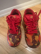 Nike Wizard of Oz special edition Low Top Lace-Up Athletic Sneakers Rubber picture