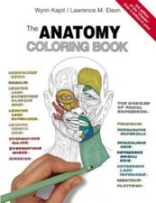 The Anatomy Coloring Book - Paperback By Kapit, Wynn - GOOD picture