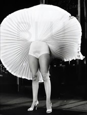 Marilyn Monroe's Legs 14 x 11