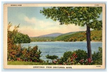 c1940s Greetings from Owatonna Minnesota MN Vintage Unposted Postcard picture