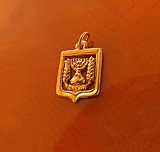 14K Solid Gold Official Emblem of Israel Pendant/Charm (Menorah/Olive Branches) picture